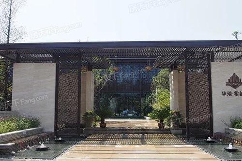 郑州小编最新爆料,揭秘郑州发展背后的故事  第2张